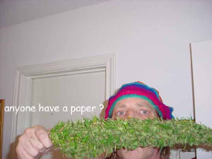 paper1.jpg