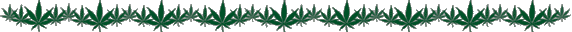 leafybar.gif