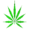 marijuan.gif