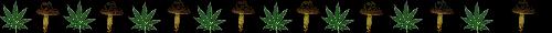 weeddivider.jpg